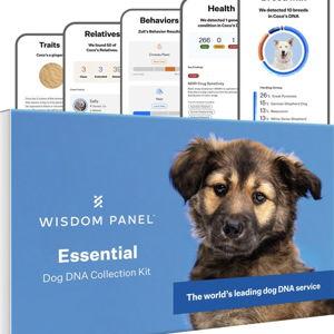 WISDOM PANEL Essential Breed Identification DNA Test for Dogs