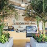 Outta the Blue Cafe
