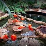 The Dallas World Aquarium