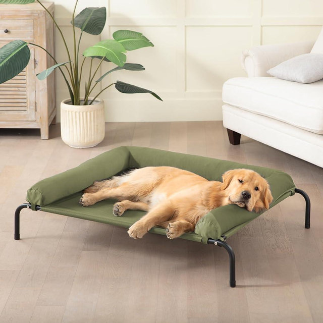Cooling Elevated Dog Bed, Outdoor Raised Dog Beds, Medium Waterproof Dogs Cot W/Breathable Mesh, Pet Cot W/Portable Removable Bolster