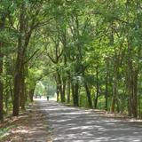Baldwin Rail Trail: Trail Side Park