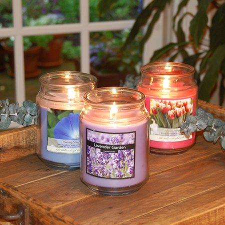 Floral Collection Scented Candles, 18 oz Apothecary Jar, Set of 3