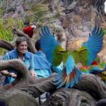Walt Disney World's Animal Kingdom | Orlando