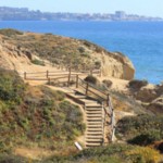 Torrey Pines State Reserve