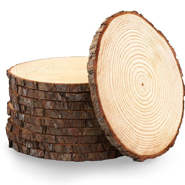 Set of (12) 10-11" Wood Slices for Centerpieces! Rustic Wedding Decorations for Reception, Tree Slices, Wood Cookies, Wood Rounds! (12)