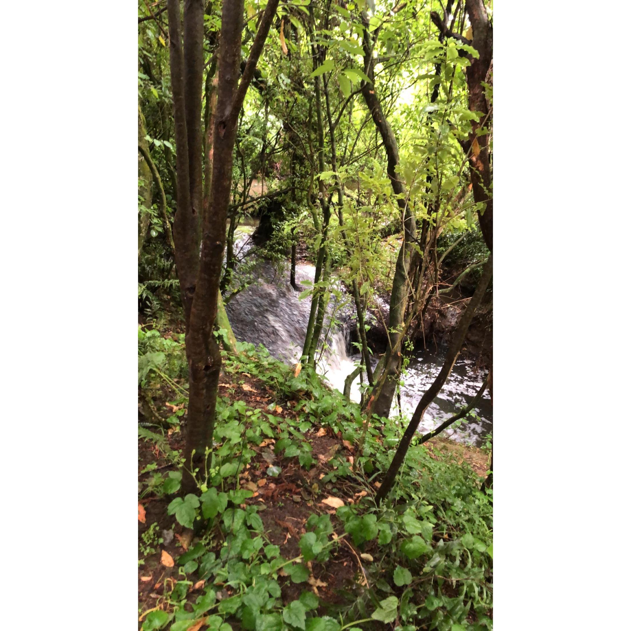 Waterfall at the venue