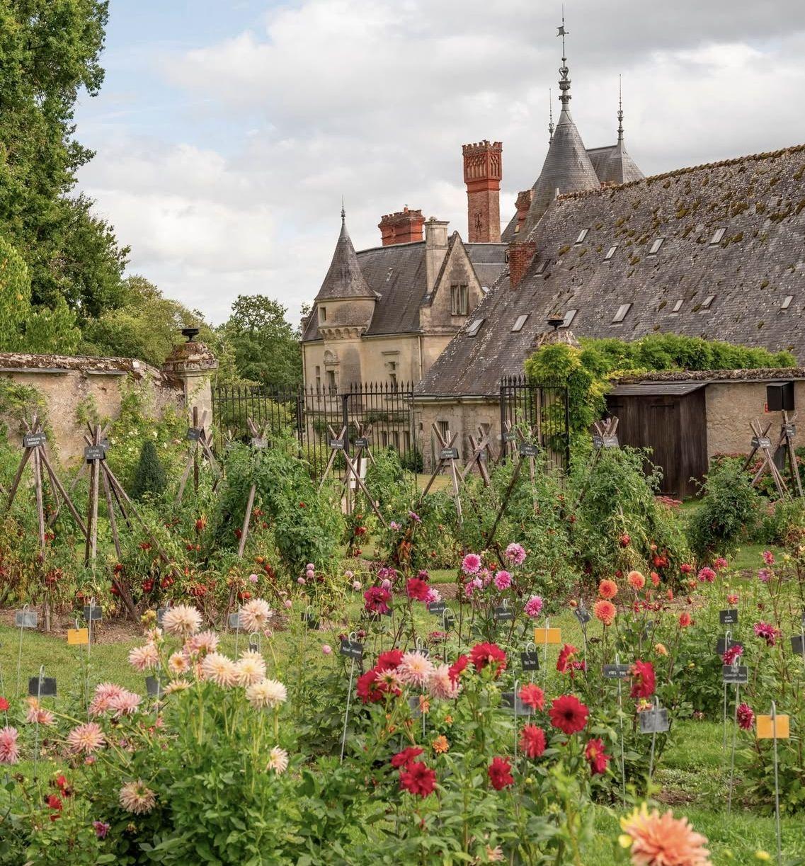 The Wedding Website of Carly Wieder and Aaron Rogers