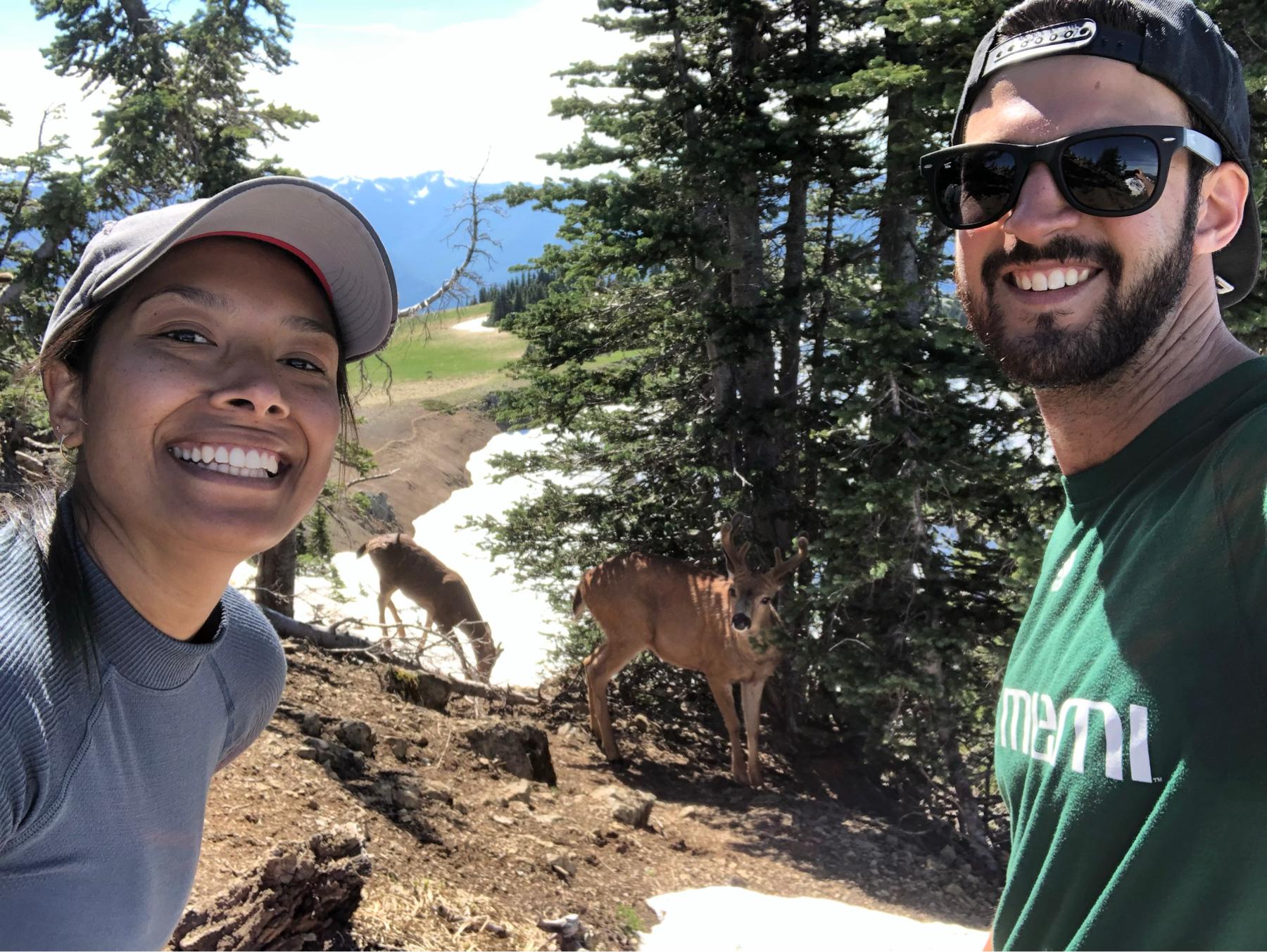 Making new friends on the west coast. June 2021, Hurricane Ridge (WA).