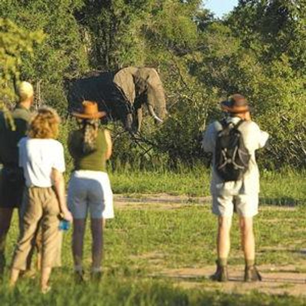 Sri Lanka | Guided Bush Walk in the Yala National Park