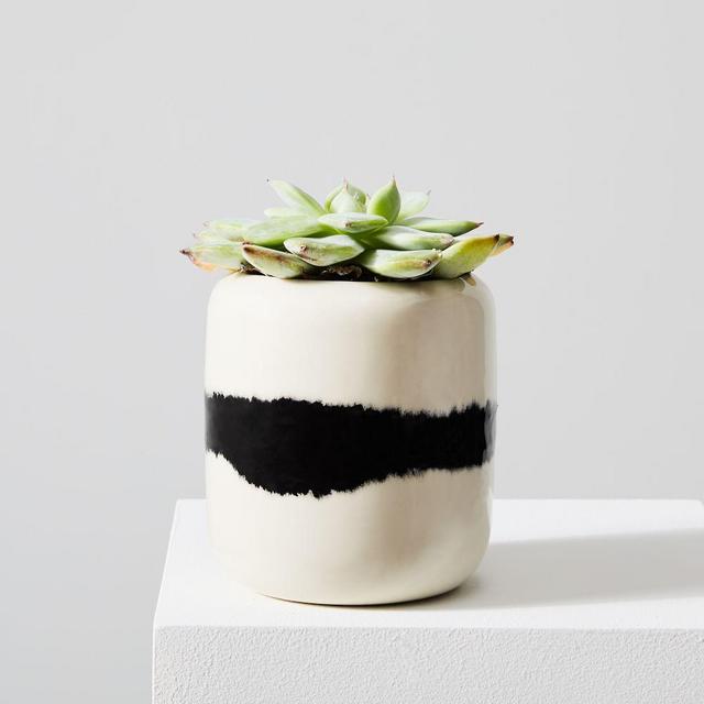 Blur Planter, Small, White