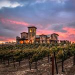 Wiens Family Cellars