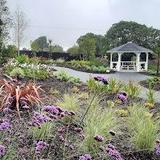 Abbey Blooms Botanical Gardens & Café