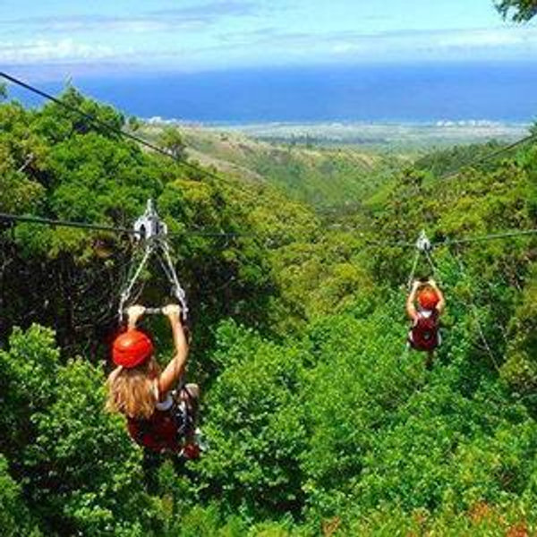Zipline Tour