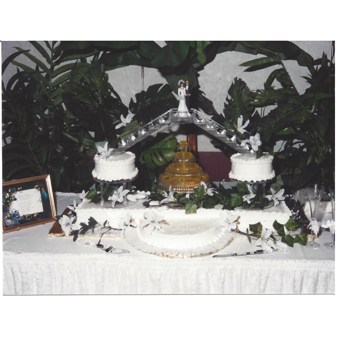 Our beautiful AND delicious cake made by Mrs. Cassaundra Easton. Framed Invitation by the late Margo Plater Goggins