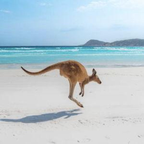 Round Trip Plane Tickets