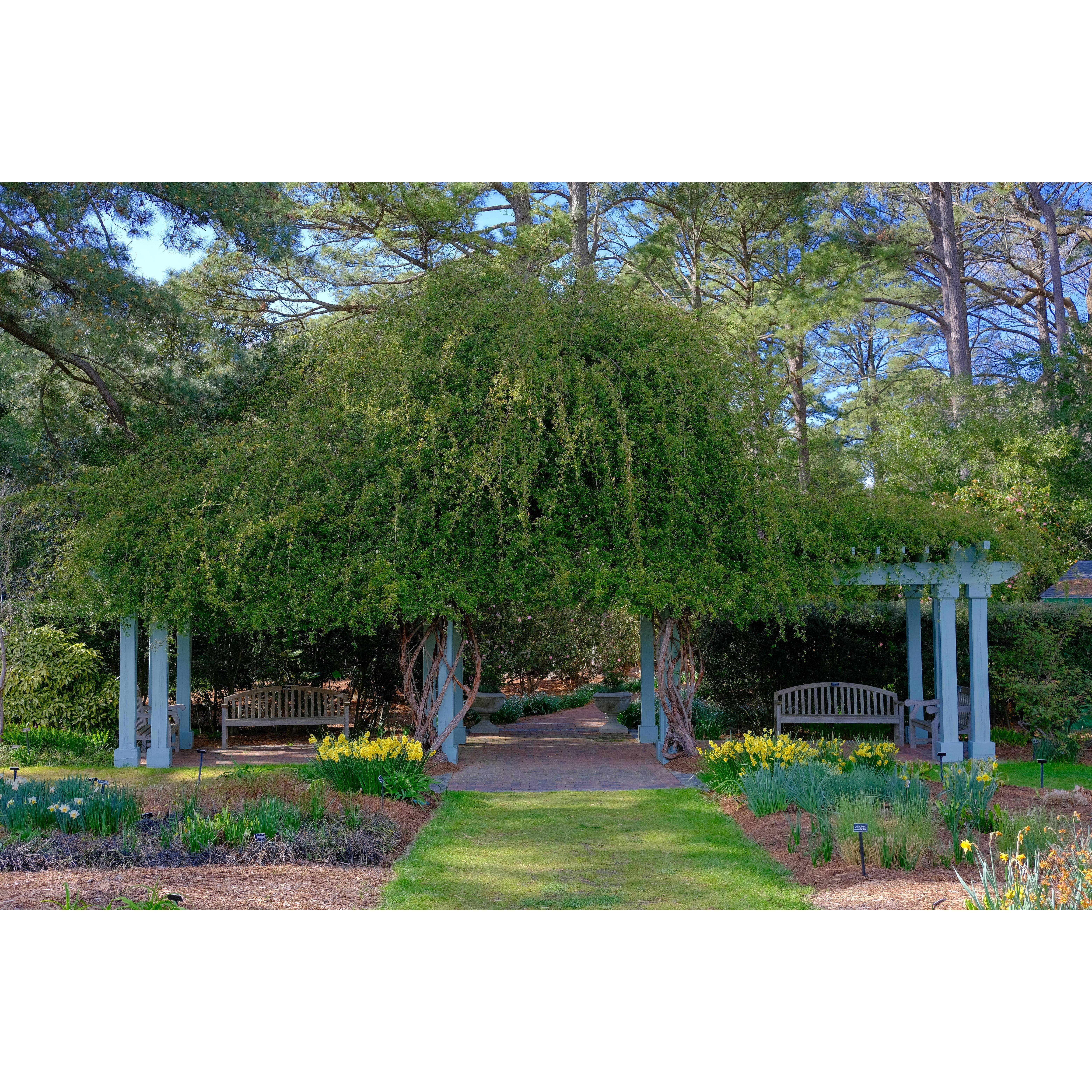 We spend so much of our free time at the botanical gardens and can't wait to walk down the aisle right here!