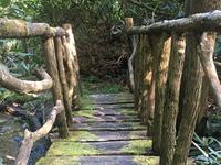 Hiking trails