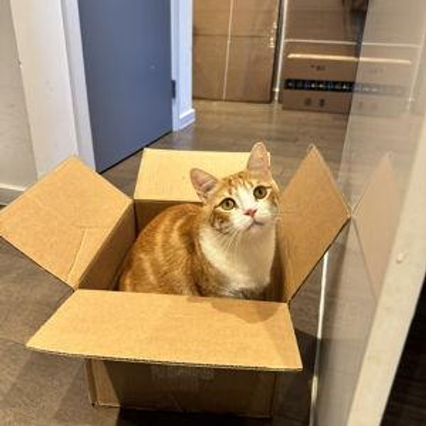 Our New Home Fund