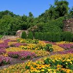 North Carolina Arboretum