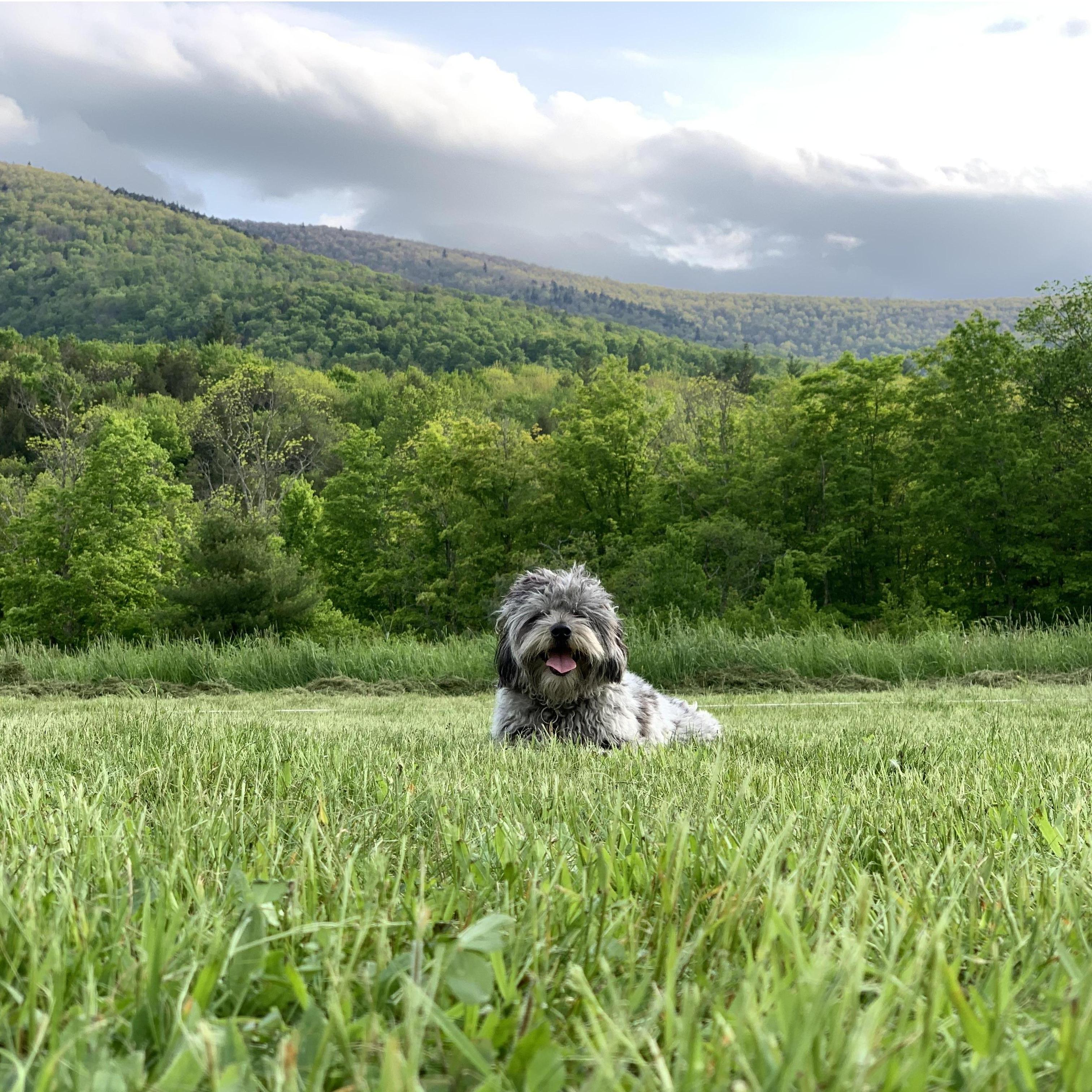 Maddie in Hunter