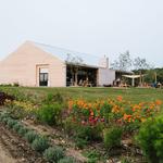 Farm Club