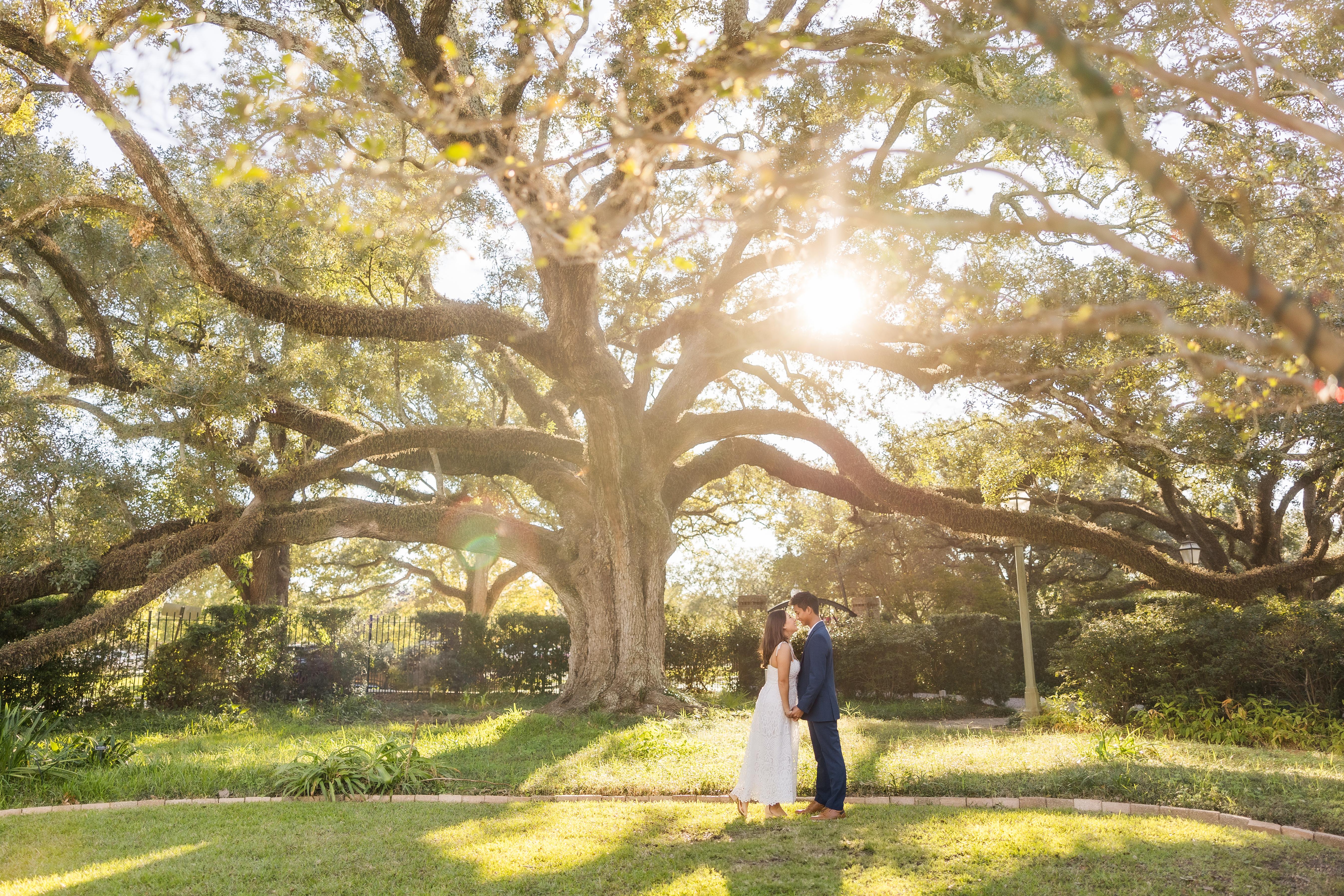 The Wedding Website of Sophia Torres and Ryan Lam