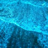 Parguera Bioluminescent Bay