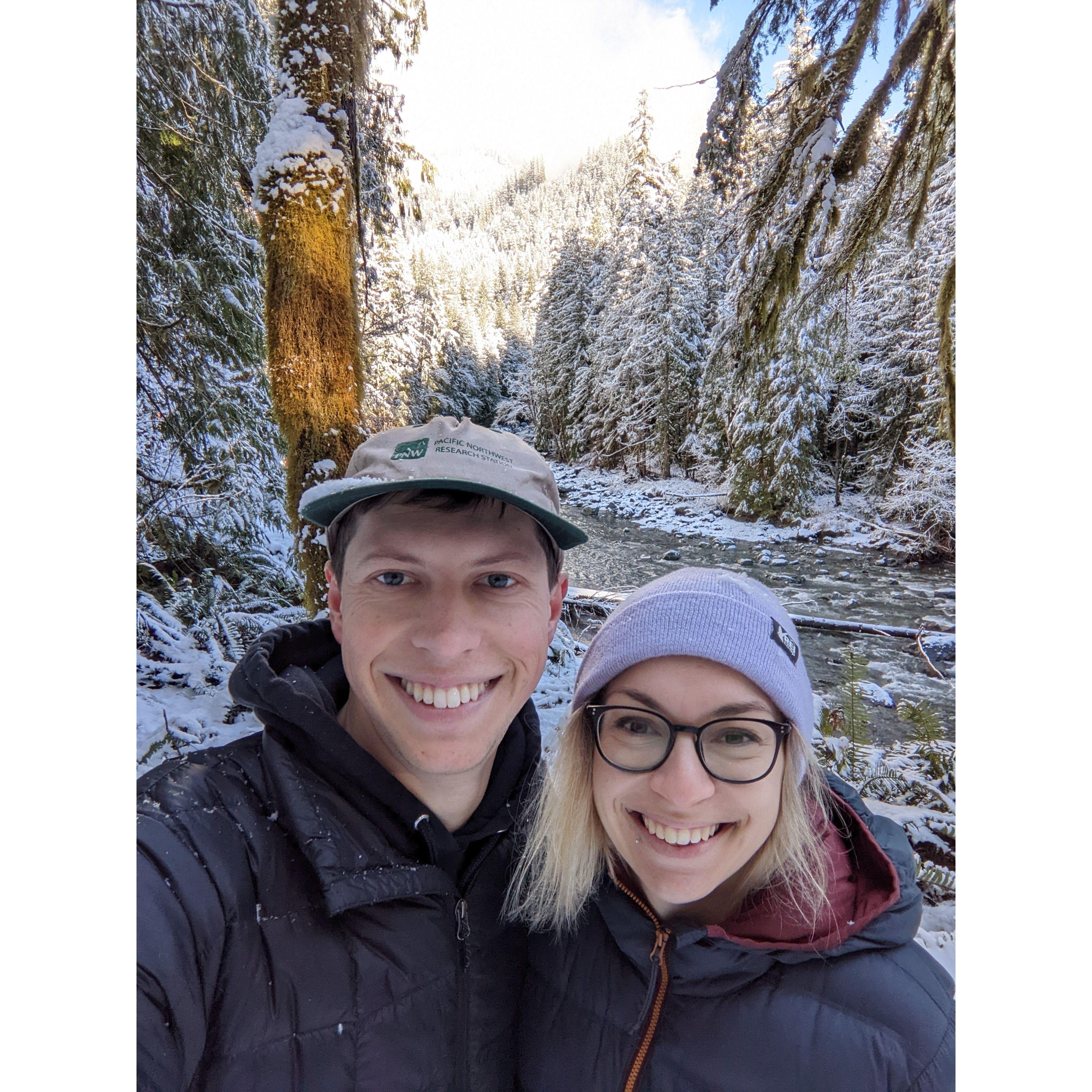 Looking for a christmas tree!