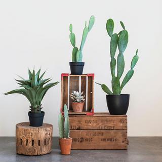 Faux Agave Plant in Pot