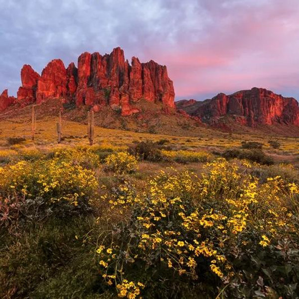 Moving to AZ!!