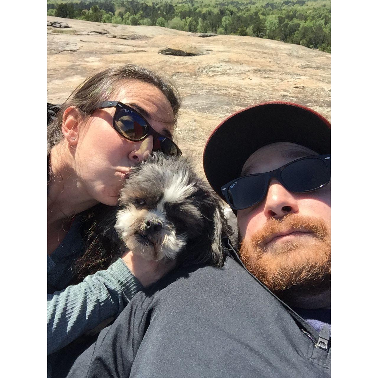 First anniversary - April 2016