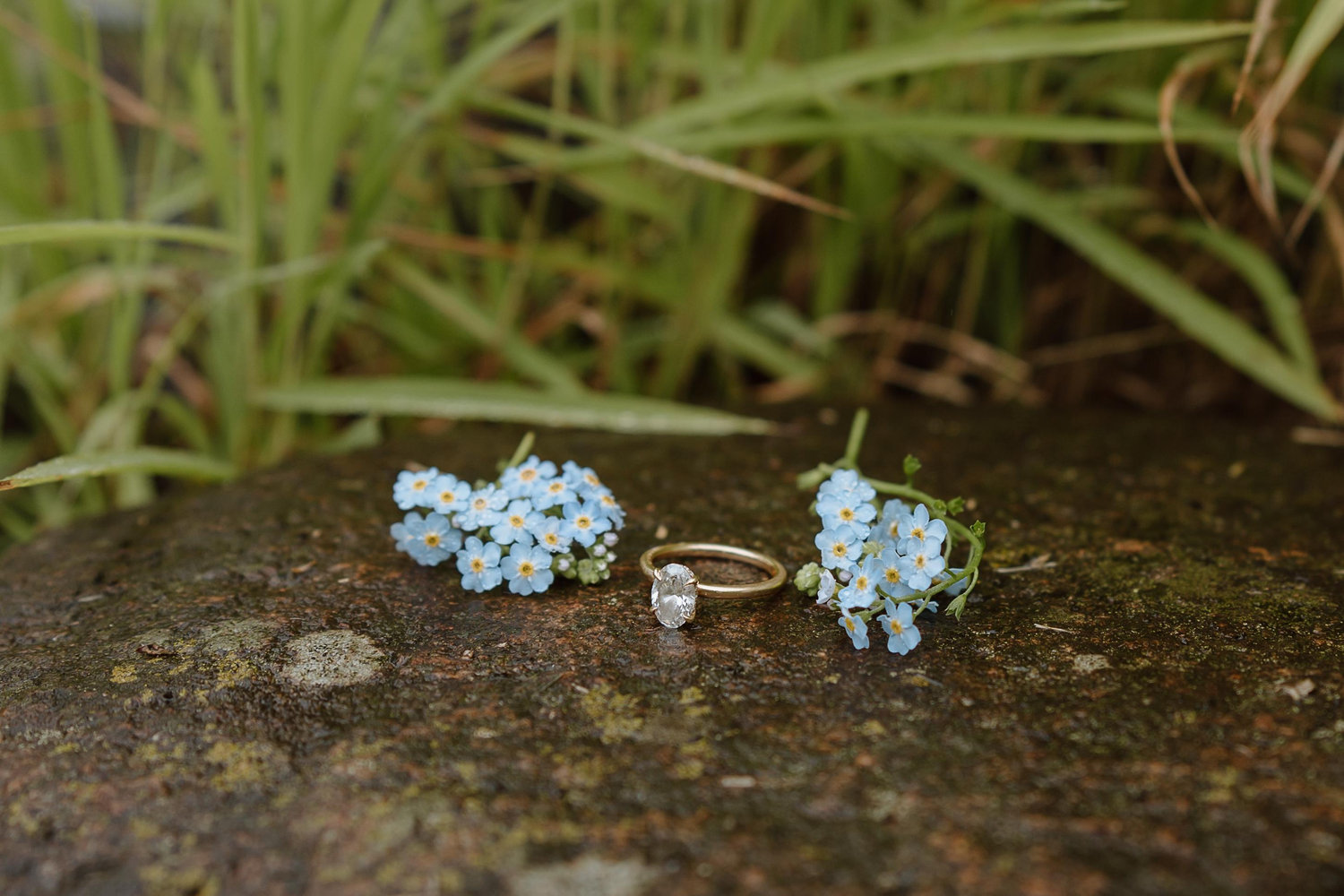 The Wedding Website of Megan Heon and Aaron Steinbauer