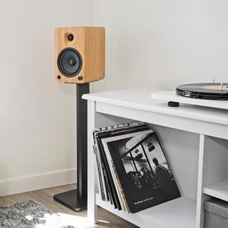 Powered Speakers with Bluetooth and Phono Preamp