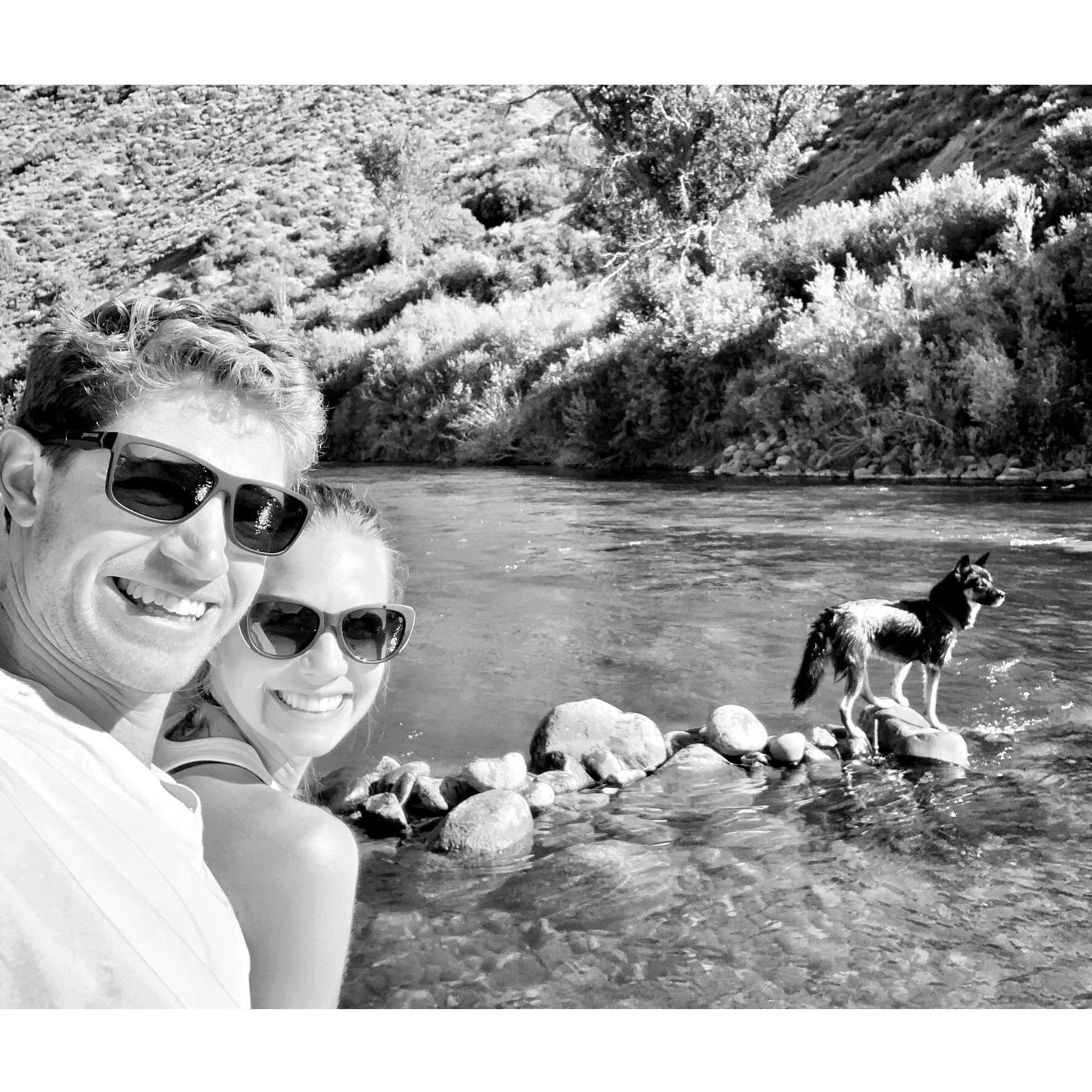 In August 2019, Ryan unofficially adopted Echo. Echo loves the Truckee River. She can't help but chase ducks. She was almost swept away by the current on this day, but Ryan jumped in to save her.