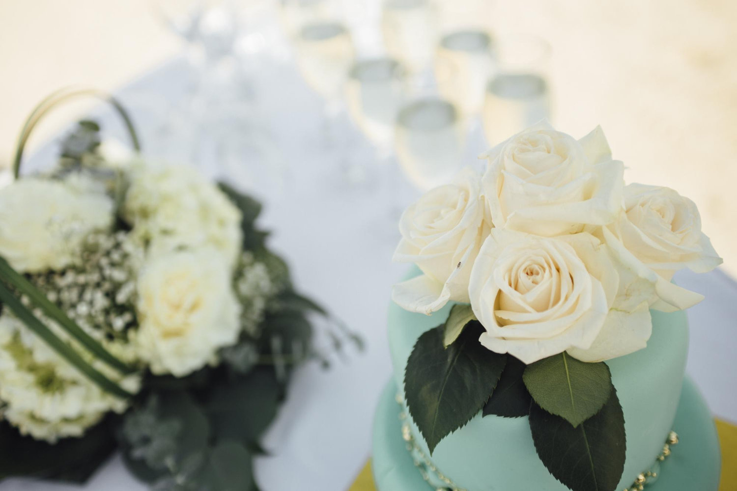 The Wedding Website of Riggi Hoene and Nicolaus Luckiesh