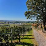 Grim's Orchard & Family Farms