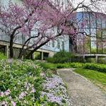 Brandywine Museum of Art