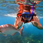 Snorkel the Keys