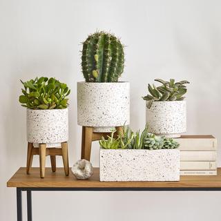 Terrazza Pot