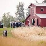 Diamond B Weddings