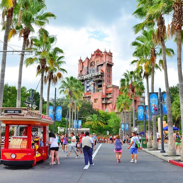 Hollywood Studios Day