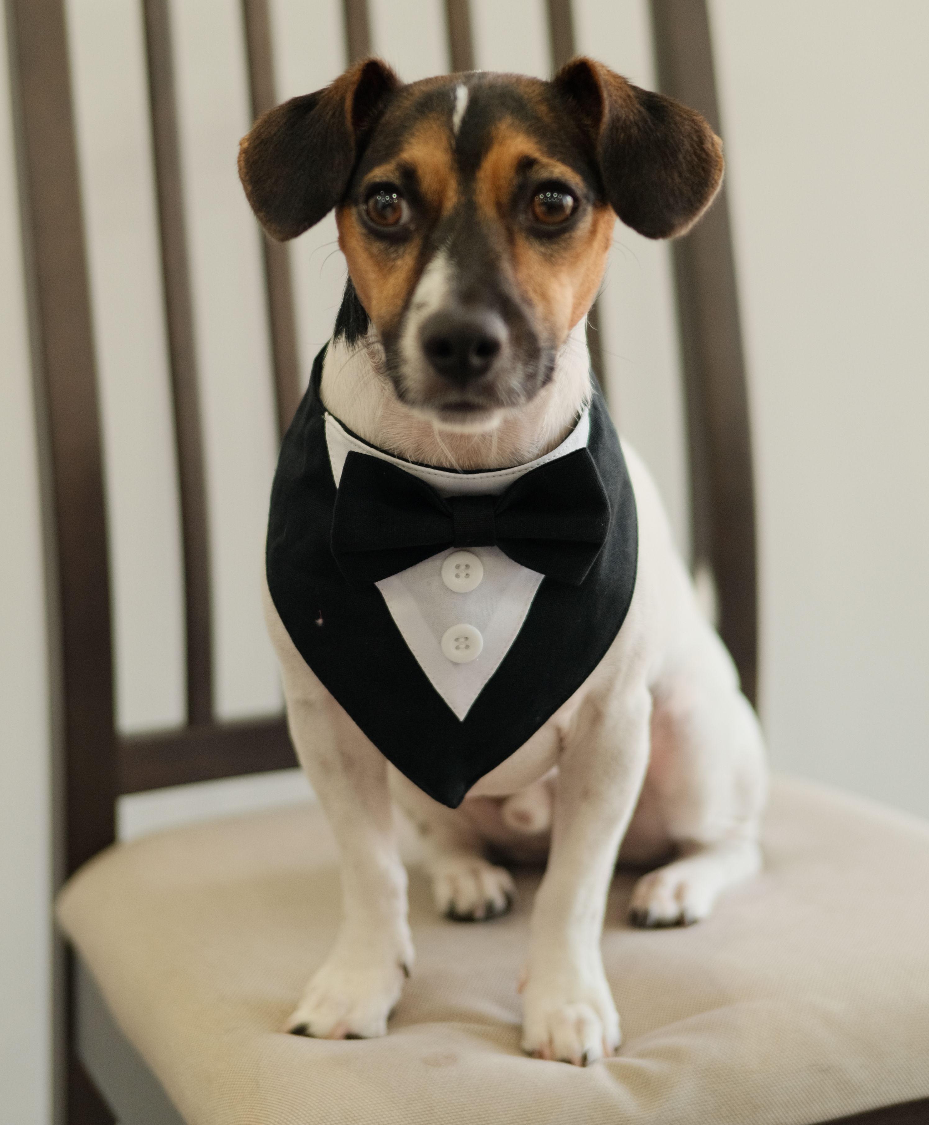 The Wedding Website of Michael Jacobe and Cherry Arbotante