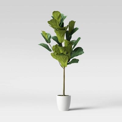 62&#34; Fiddle Plant in White Pot - Opalhouse&#8482;