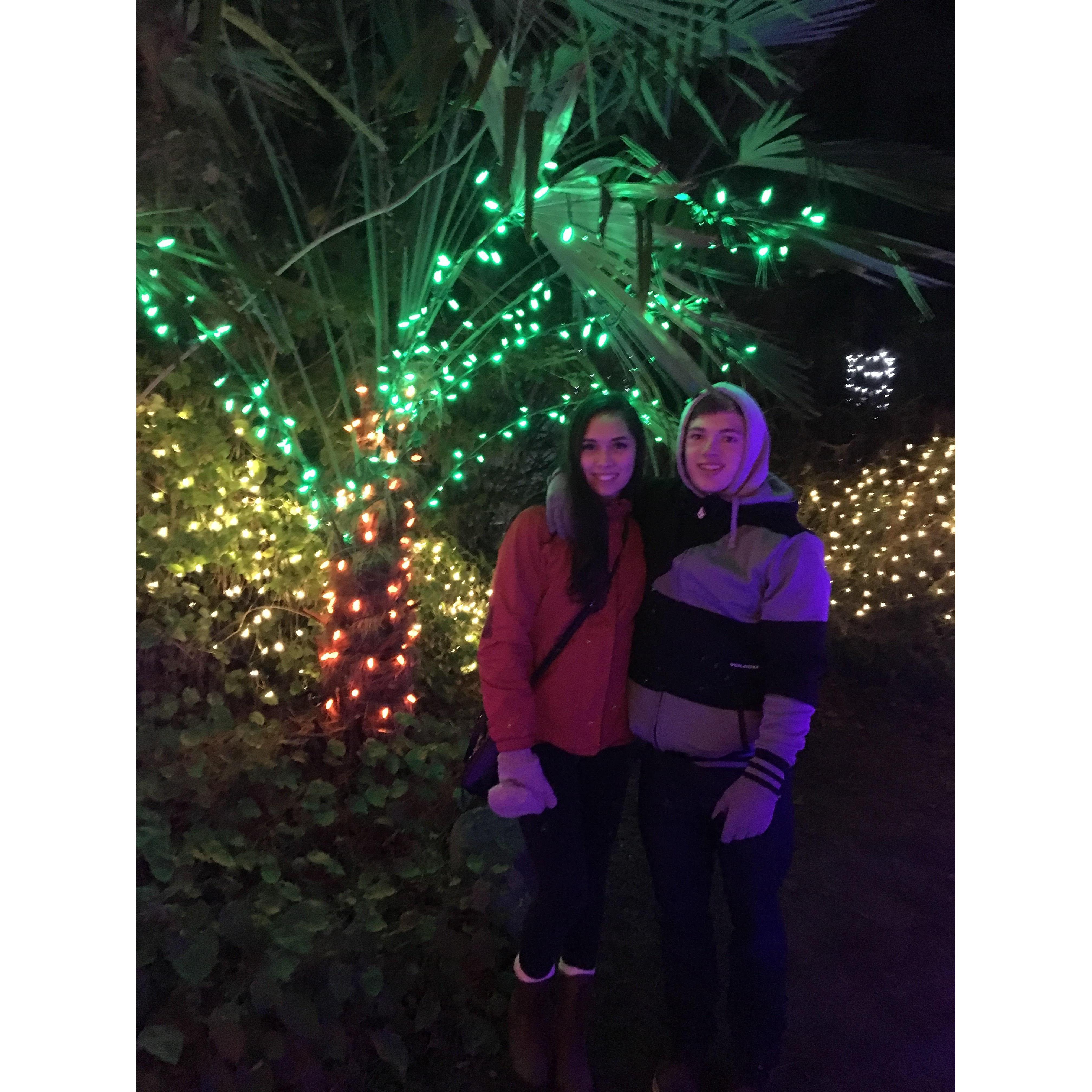 Zoo Lights for our 1 year anniversary Dec 2016