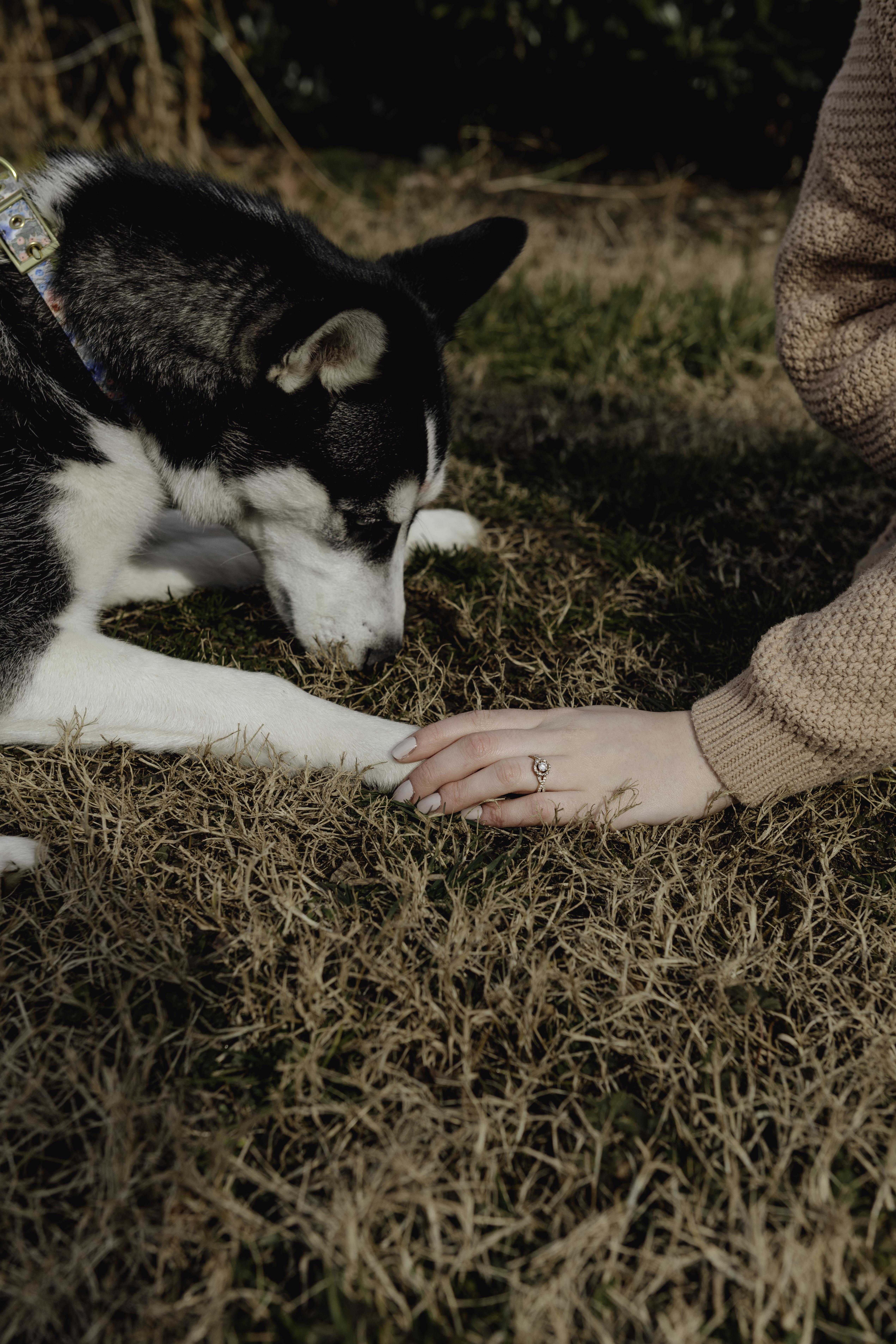 The Wedding Website of Sarah Nerud and Jeremiah Holmes