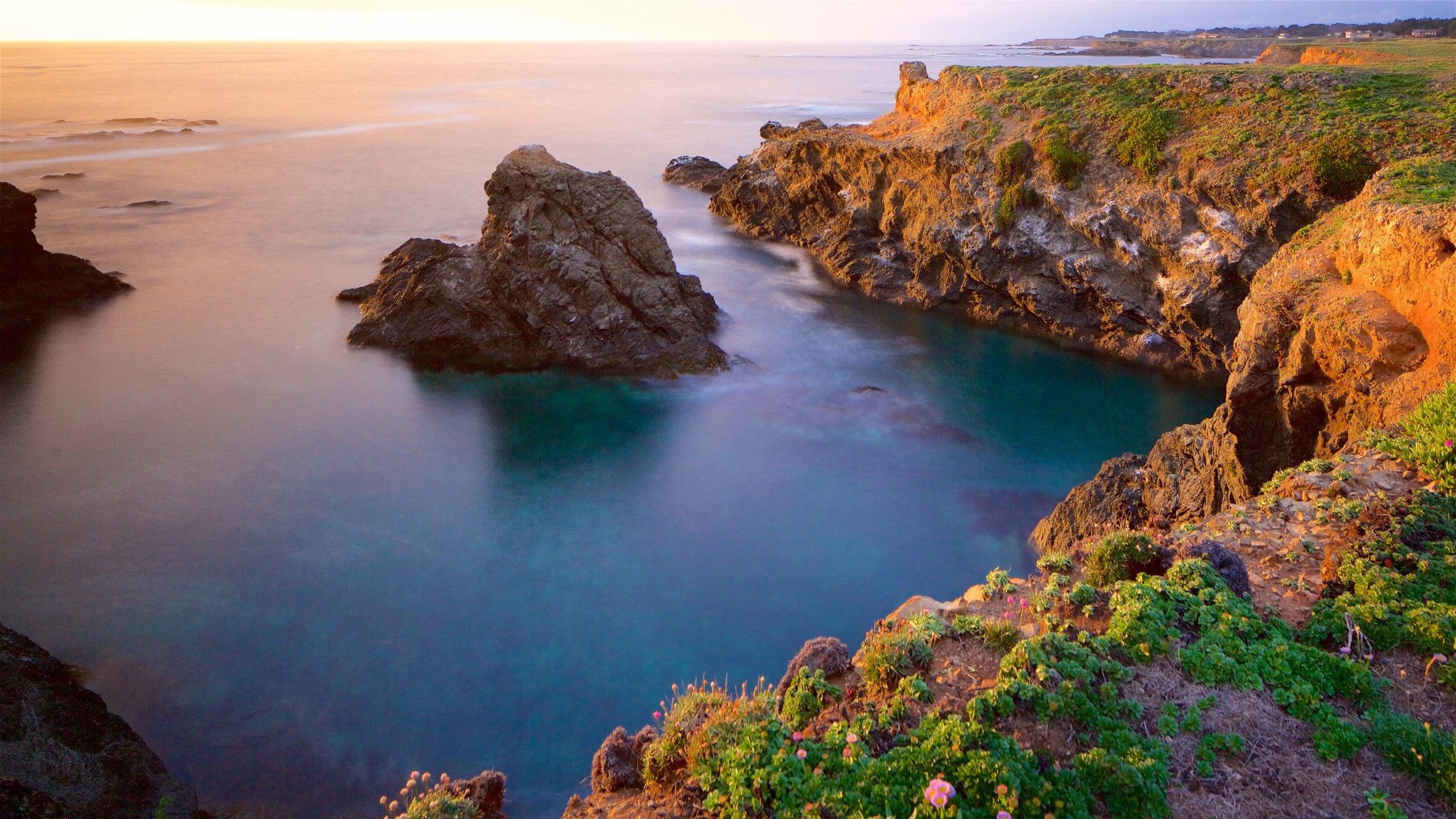 The Wedding Website of Stephen Eshner and Jennifer Newton