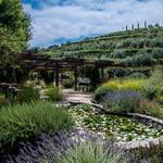 Benziger Family Winery