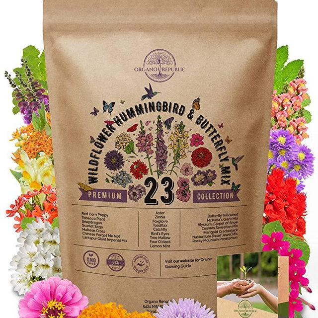 23 Wildflower Seeds Annual & Perennial Mix for Planting Indoor & Outdoors, Attract Birds & Butterflies 100,000+ Non-GMO, Heirloom Garden Seeds in Bulk 4oz Packet for Growing Wild Flowers