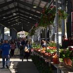 Fulton Street Market
