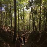 Great Smoky Mountains National Park